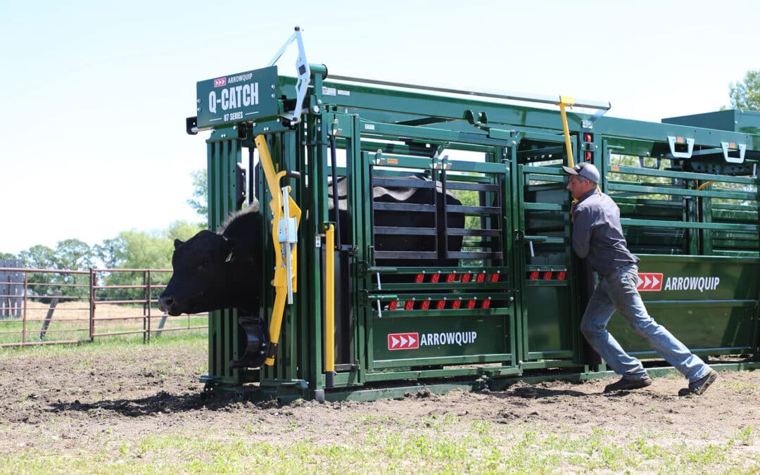 Arrowquip Q-Catch 8700 Manual Cattle Chute – $13,325